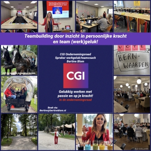 Teamcoaching voor meer teamkracht en werkgeluk voor de ondernemingsraad CGI door teamcoach Bertine Blom