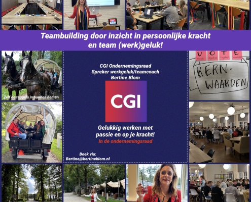 Teamcoaching voor meer teamkracht en werkgeluk voor de ondernemingsraad CGI door teamcoach Bertine Blom