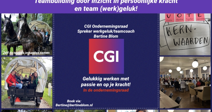 Teamcoaching voor meer teamkracht en werkgeluk voor de ondernemingsraad CGI door teamcoach Bertine Blom
